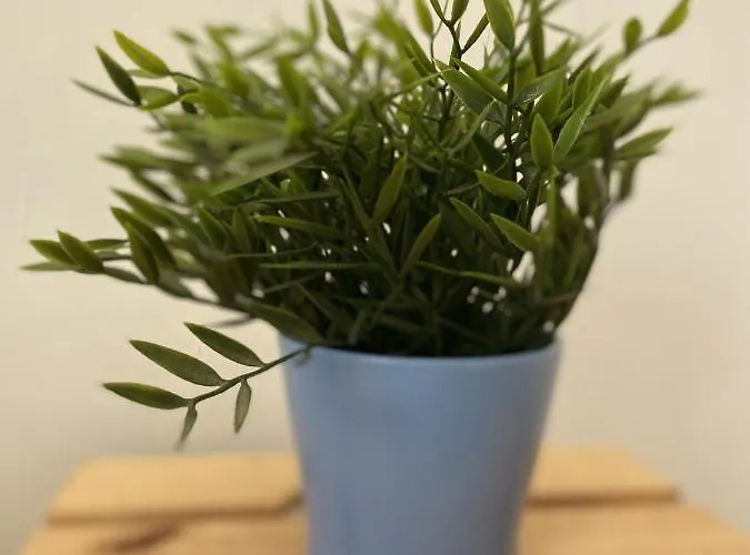 La Cle -climatisation - Parking Prive - Ideale - Professionnels - Familles - Amis